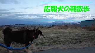 「便利な田舎コンビニエンスザカ」広報犬の朝散歩〈長野県須坂市への移住相談は信州須坂移住支援チームへ〉