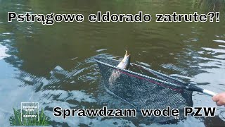 Pstrągowe eldorado zatrute?! Trzcina, ryby i grzyby S02E03