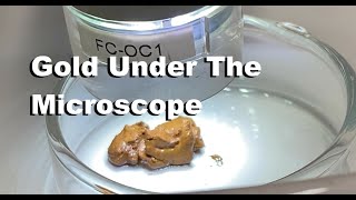 Inquarted Gold Under The Microscope