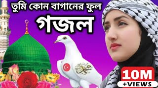 তুমি কোন বাগানের ফুল, Bangla Gozal, New Gozal,Islamic Gozal, Bangla Ghazal,Bangla songs,New kolorob