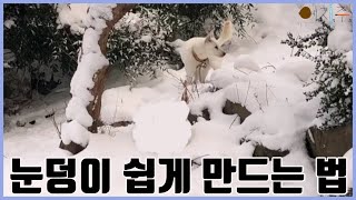 눈덩이 쉽게 만드는 법.