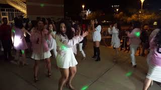 KDChi Delta Chapter - Work video