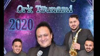 Besimi Zahaj  2021 - Ork Tsunami (Tallava 2020) per Elvis King‘in