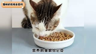 猫咪的性格会变吗？这是自然的