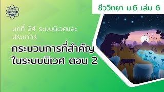 กระบวนการที่สำคัญในระบบนิเวศ ตอน 2 (ชีววิทยา ม. 6 เล่ม 6 บทที่ 24)