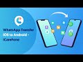 iCareFone WTSapp iOS-Android App Quick Guide | Transfer WhatsApp from iOS to Android without PC