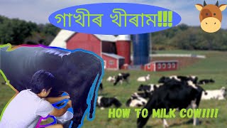 গাখীৰ খীৰাম !!! How to milk cow | Vlog and Lifestyle| (English Subtitles)