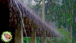 Magnifico 💤 Barulho de Chuva Intensa no Telhado | 10 Horas | Som de Chuva para Dormir
