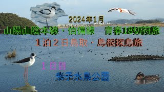 ２０２４年１月山陽山陰伯備線　青春18切符旅　１泊２日鳥取・島根探鳥旅　１日目　米子水鳥公園