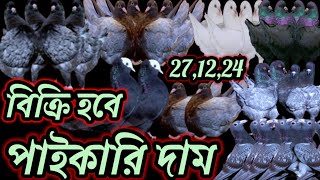 ⭕এই মাসের সেরা অফার//মাত্র ২৫০ টাকা পিস কবুতর কিনুন//এনামুল ভাইয়ের খামার থেকে#pigeon_videos#কবুতর