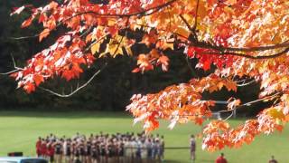 Ashtabula County Fall Foliage