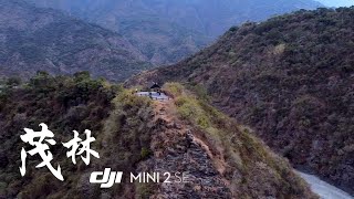 【羣山‧茂林】空拍壯闊的山林之美A Breathtaking Aerial View of Majestic Forests -DJI Mini 2 SE Cinematic Drone Video