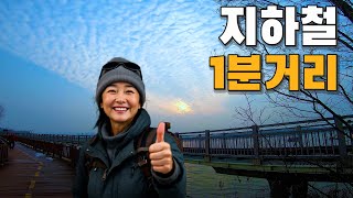 🚉 지하철역 1분 ! 등잔 밑 특급 늦가을 나들이 명소 🌱국내 최대 생태 호수 트레킹 코스 혼자여행 전철여행 둘레길코스추천 산책코스 걷기좋은길| 대중교통 당일치기 여행코스 추천 |