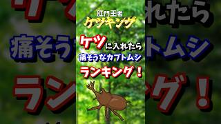 ケツに入れたら痛そうなカブトムシランキング #shorts