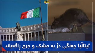 ئیتاڵیا جەنگی دژ بە مشک و جرج ڕاگەیاند