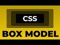 The CSS Box Model