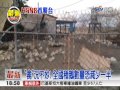 【中視新聞】嘉義檢出h5n8 專家憂變異