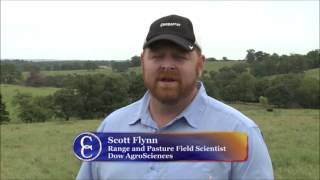 Benefits of Seed Head Suppression with Chaparral