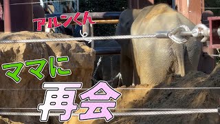 切ない…【‎2025年‎2月5日】【上野動物園】アジアゾウ