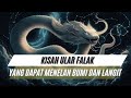 KISAH ULAR FALAK YANG DAPAT MENELAN BUMI DAN LANGIT || PENGETAHUAN ISLAM