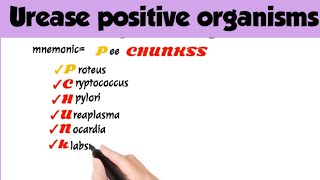 urease positive organisms|urease positive organisms mnemonics|medical_mnemonics786