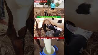 கால்நடைகளுக்கான ஒரே தீவனம் #agriculture #feed #cattlefarm #farming #cow #cowfeed #cattlefeed