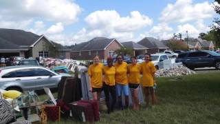 College of Human Sciences & Education | IMPACT