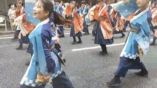 23’8.10 よさこい祭り※東京花火