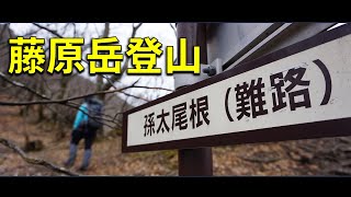 【登山】鈴鹿山脈　藤原岳①　暖かい日が続くので福寿草やセツブンソウを探しに行こうと思います