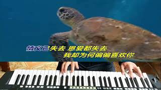 电子琴《偏偏喜欢你》原唱陈百强 经典粤语歌曲 好听 感人