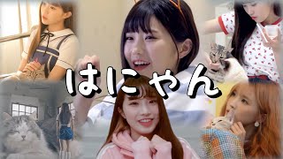 【fromis_9/日本語字幕】野良猫に知り合いがいるはにゃん