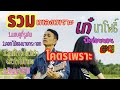 รวมเพลงเก๋นาโพธิ์#เพลงเพราะ #เพลงดัง #มาแรง #เพลงใหม่ #รวมเพลงฮิต