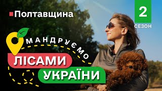 Рецепт СПРАВЖНІХ полтавських ГАЛУШОК / вода для ОМОЛОДЖЕННЯ / Мандруємо ЛІСАМИ УКРАЇНИ #8 випуск