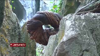 প্রকৃতির অপার বিস্ময় চীনের Stone Forest | Sundorer Shopney