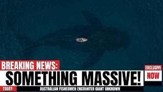 Fishermen Off Australia Encountered Something Massive — Marine Biologists Still Can't Explain