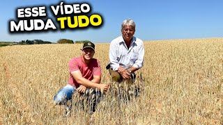 VAMOS COLHER O TRIGO! | PROJETO GIGANTE NO CANAL