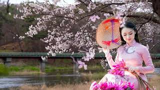 Beautiful cherry blossom: Lets explore beautiful  cherry flowers . #japan #travel #sakura # nature