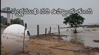 Naidupeta లో స్వర్ణముఖి నది ఉప్పొంగుతుంది #naidupeta #floods #viralvideo