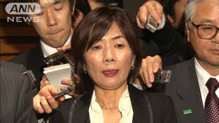 「小沢系」議員らが辞表　消費税で与党内混乱続く(12/03/31)