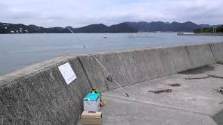 頭島釣れない釣り