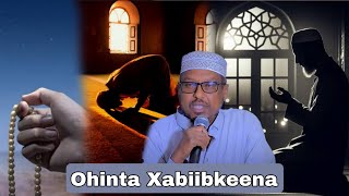 Ilinta Xabiibkeena | Qisooyin Kaa Ohin Doono | Sh Mustafe Xaaji Ismaaciil