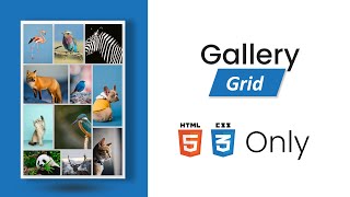 Responsive Image Gallery using CSS Grid in 2021 | CSS Grid Responsive Image Gallery | Image Gallery