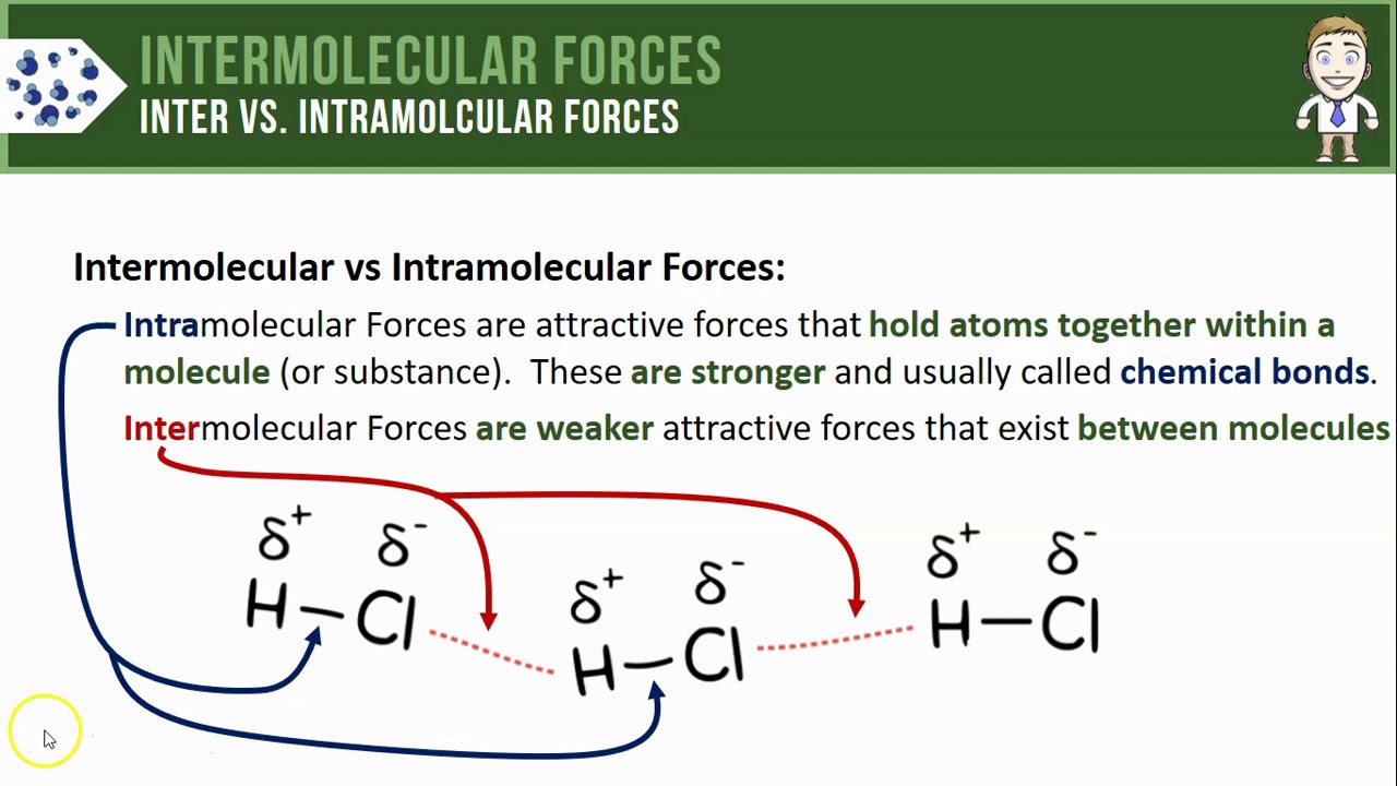 Intramolecular Forces