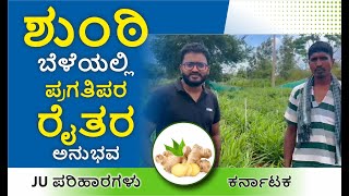 ಶುಂಠಿ ಬೆಳೆಯಲ್ಲಿ ಪ್ರಗತಿಪರ ರೈತರ ಅನುಭವ | Farmer Testimonial | Ginger Crop | Karnataka