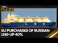 European Union's purchase of Russian LNG on the rise: Study | WION Pulse