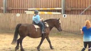 Therapeutisches Reiten mit Julia 6