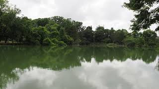 緑陰散歩　善福寺公園　2022/5/27 52