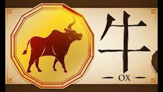 1985 Chinese Zodiac Wood Ox