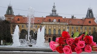 6th International Festival of flowers, flower markets Sombor 30.04.2016.