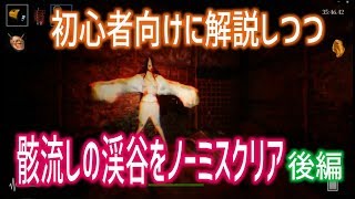 【初心者向けに解説しつつ、骸流しの渓谷をノーミスクリア・後編】しぃ子のてけてけ影廊実況